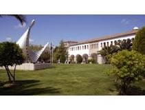 Complejo Cultural San Francisco.jpeg